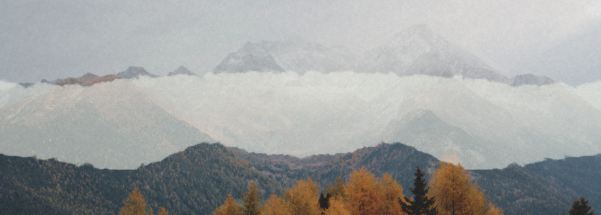 Autumn Sale Banner