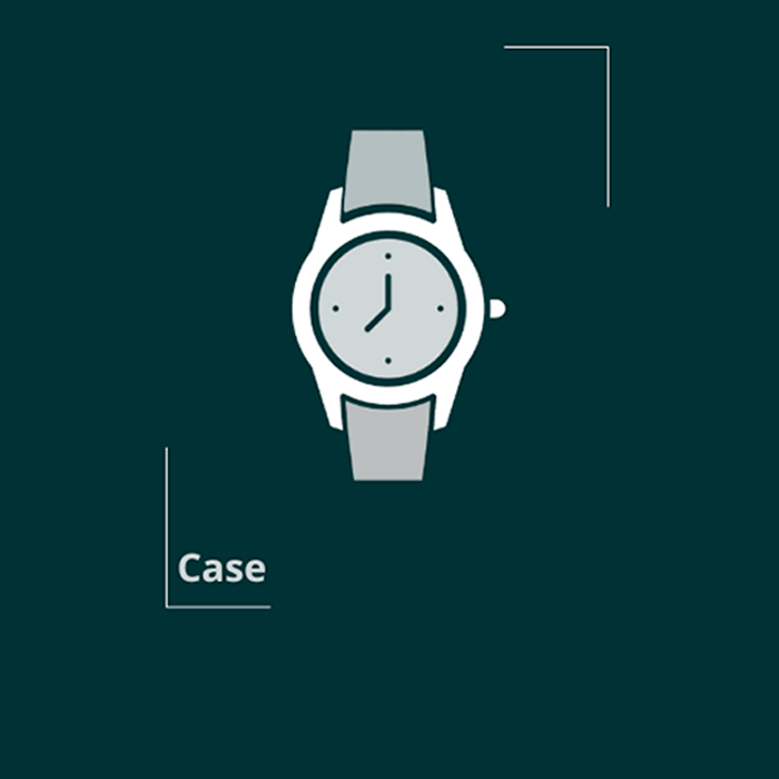 Image illustrating the case of a wristwatch, emphasizing structure and protection